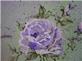 Shabby chic ruza